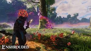 Enshrouded
